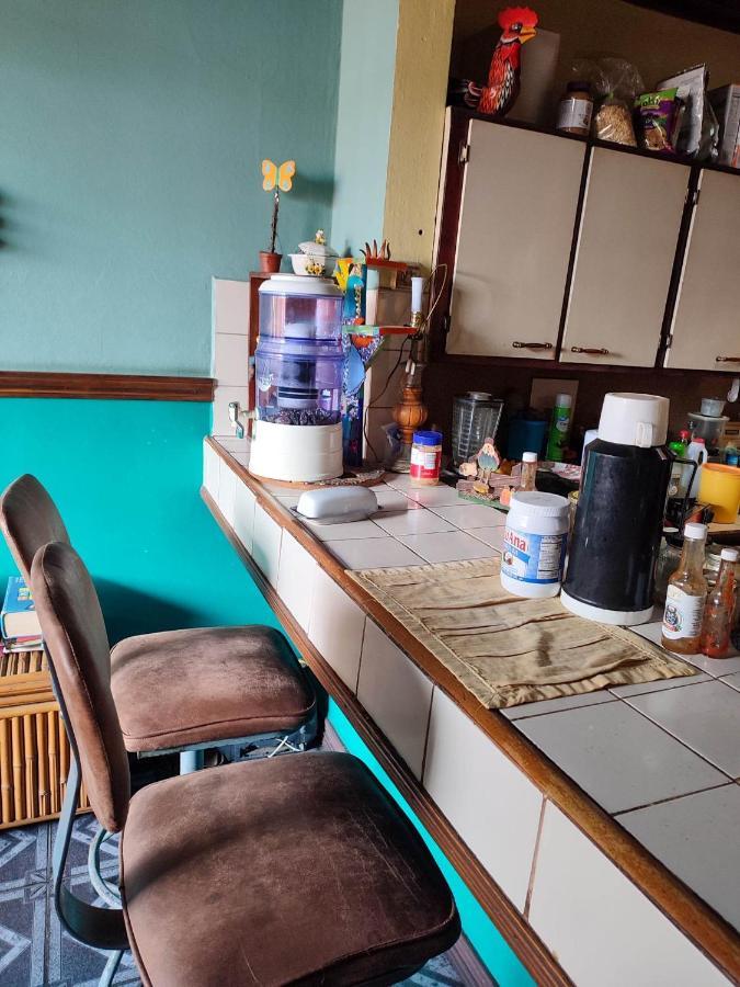 The Cozy Cactus House B&B Cartago Centro English Spoken المظهر الخارجي الصورة