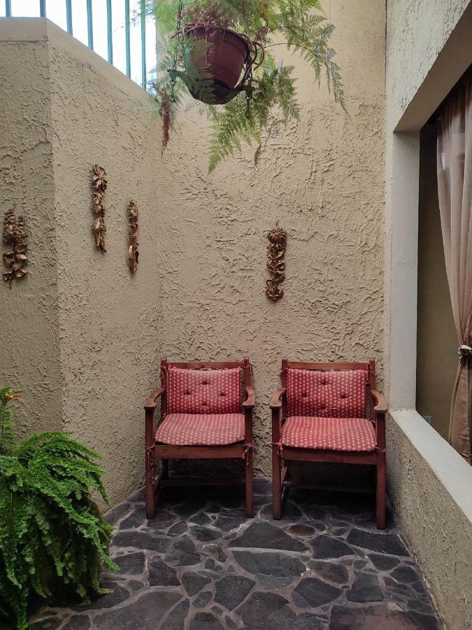 The Cozy Cactus House B&B Cartago Centro English Spoken المظهر الخارجي الصورة